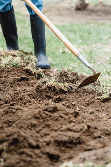 Pourquoi opter pour un jardin sec ?