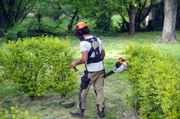 Jardinier pour taille de haie