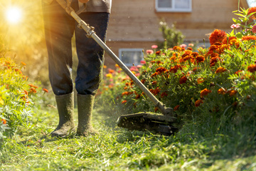 Services de jardinage à domicile : 50% crédit d'impôt