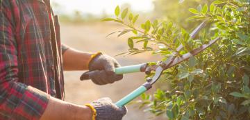 Choisissez la solution de tranquillité pour votre jardin pour en profiter pleinement