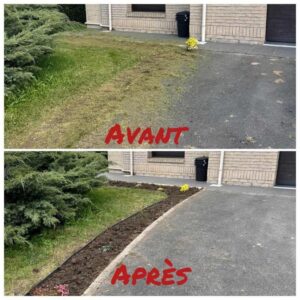 Les secrets des pros pour un gazon parfait – Douai